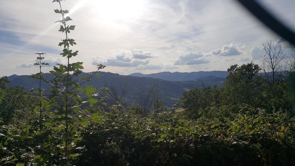 Agriturismo Ca' Di Mazza Monzuno المظهر الخارجي الصورة